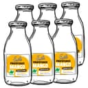 Mango Fruchtsauce 6 x 250 ml Bild 4